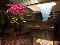 -瑞吉酒店·The Drawing Room闲逸廊·云端下午茶·夜奢Whiskey