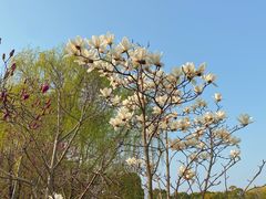 -苏州太湖国家湿地公园