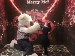 -济州岛泰迪熊博物馆