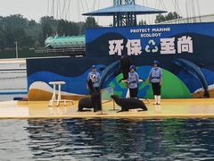 -秦皇岛乐岛海洋王国