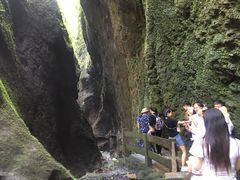 -武隆天坑地缝国家地质公园