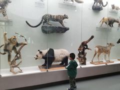 -国家自然博物馆