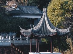 -八大山人梅湖景区