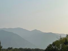 -秦始皇帝陵博物院-丽山园