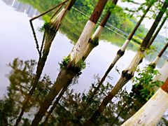 -重庆彩云湖湿地公园