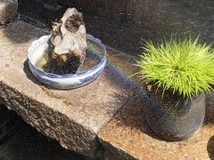 -月栖华明-云间草堂清茶馆(泗泾古镇店)