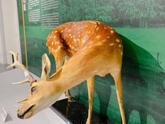 -中国湿地博物馆