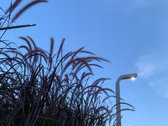 -白石龙音乐公园