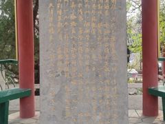 -桃花堤公园