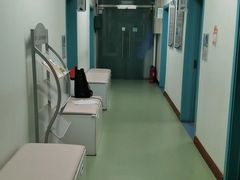 -北京观赏动物医院·24小时大型综合·猫专科·异宠专科