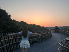 -福道