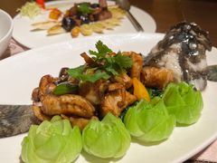 -采悦轩中餐厅·粤菜·海南菜(神州半岛喜来登度假酒店)