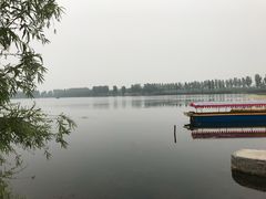 -白洋淀景区