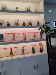 -爱秀造型 T-G