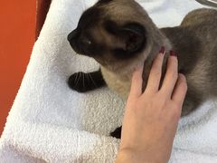 -惠康宠物医院(华能路店)