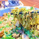 刘碗碗小碗麻辣拌💯卖麻辣拌的糖水铺子