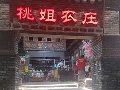 -桃姐农庄老字号(增城分店)
