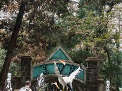 -莫干山风景区