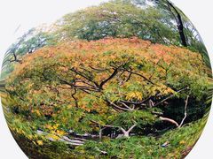 -中山公园