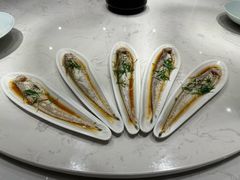 清蒸刀鱼-鲐赏河豚(长寿店)