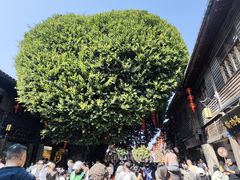 -三坊七巷历史文化街区