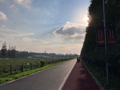 -上海长兴岛郊野公园