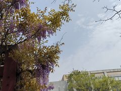 -浙江农林大学(东湖校区)