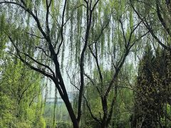 -城市运动公园(未央区)