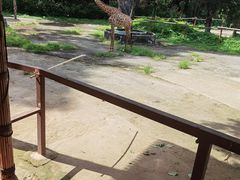 -深圳野生动物园