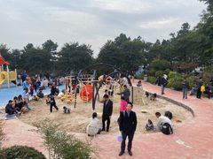 -铁山坪森林公园