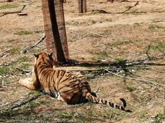 -秦皇岛野生动物园