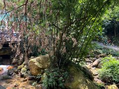 -亚婆田·白水寨生态旅游度假区