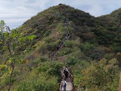-大岭沟猕猴桃谷风景区