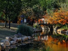 -上海共青森林公园