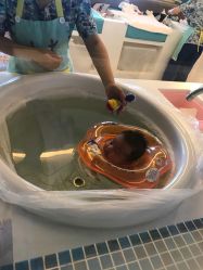 -重庆安琪儿妇产医院-妇幼保健联盟医院