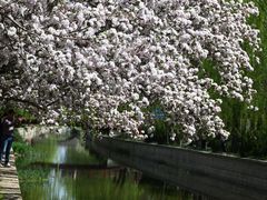 -元大都城垣遗址公园