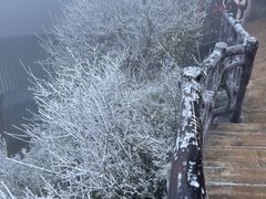 -金子山原生态旅游风景区