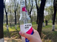 -蒲河岛湿地公园