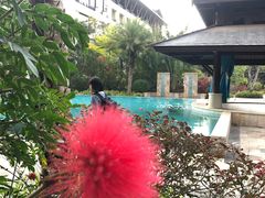 -西双版纳融创皇冠假日度假酒店