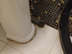 iphone_upload_pic-苏州桃花坞国际青年旅舍