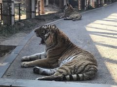 -大连森林动物园