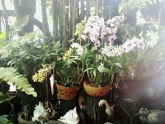 -自然餐厅(Phuket)