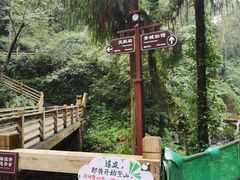 -青城山