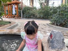 -郑州银基黄帝宫御温泉