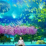 魔都夏日去哪里 | 海昌海洋公园避暑溜娃两不误