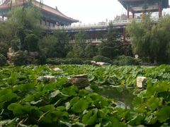 -大明幻境第一城