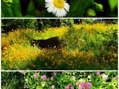 -南京金牛湖风景区