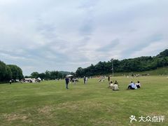 -羊山湖公园