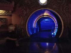 -郑州方特梦幻王国