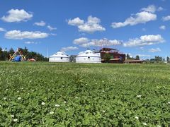 -北纬44度·金珠花海休闲农业旅游景区